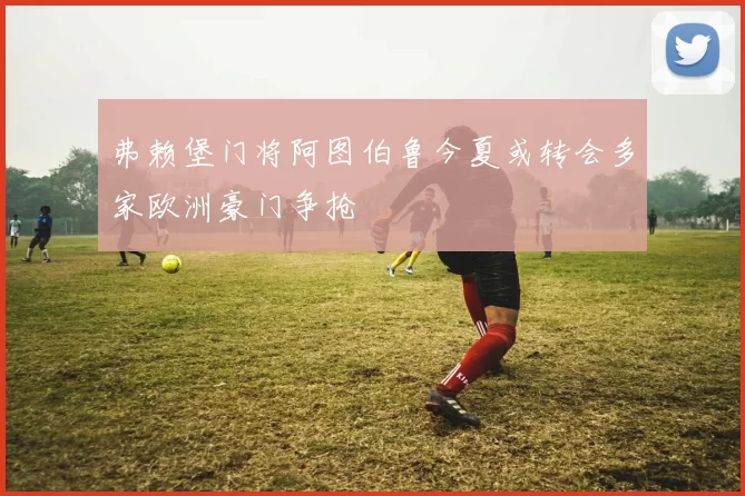 弗赖堡门将阿图伯鲁今夏或转会多家欧洲豪门争抢